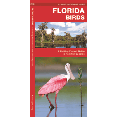 The cover of "Florida Birds".