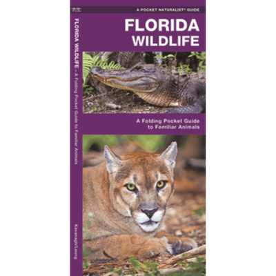 The cover of "Florida Wildlife".