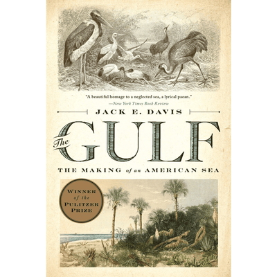 The cover of "The Gulf- The Making of an American Sea".