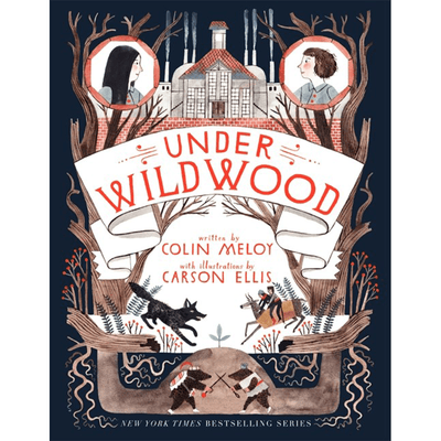 Cover of "Under Wildwood" by Colin Meloy.